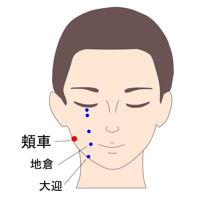 頬車穴