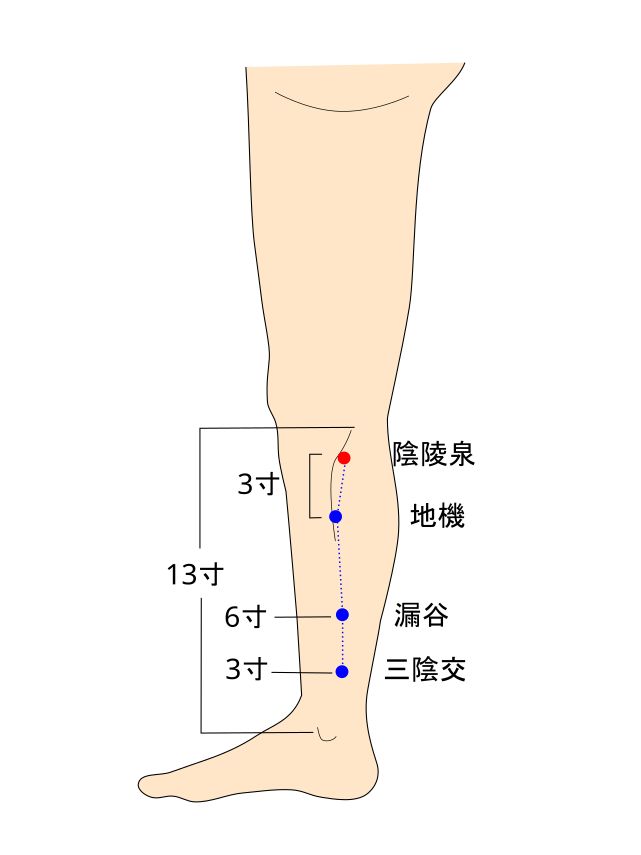 陰陵泉（いんりょうせん）