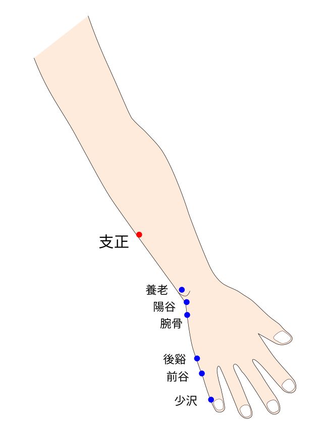 手太陽小腸経の支正穴