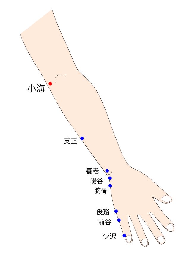 手太陽小腸経の小海穴