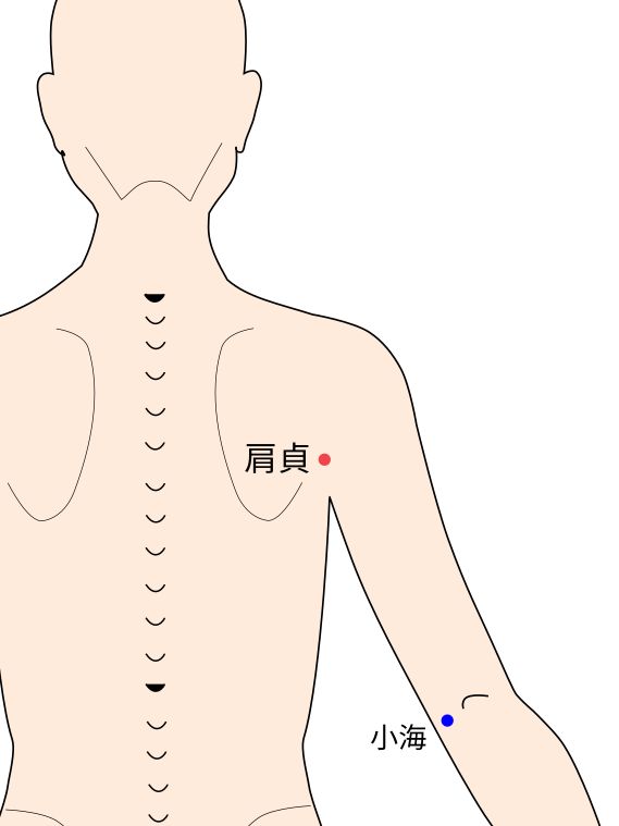 手太陽小腸経の肩貞穴
