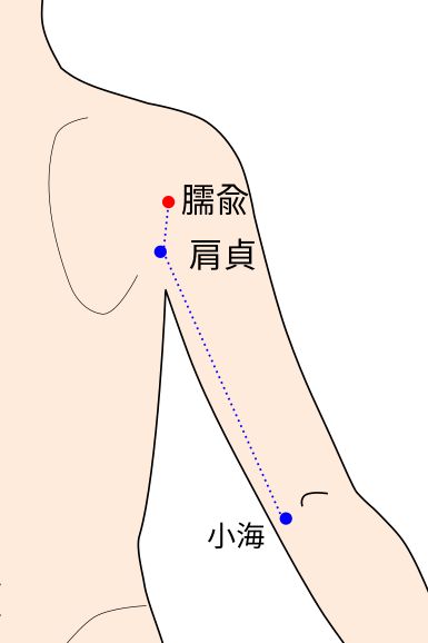 手太陽小腸経の臑兪（じゅゆ）