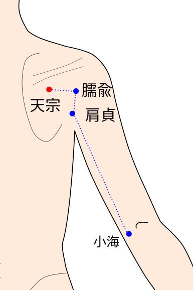 手太陽小腸経の天宗（てんそう）