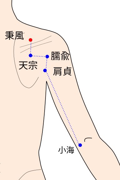 手太陽小腸経の秉風（へいふう）