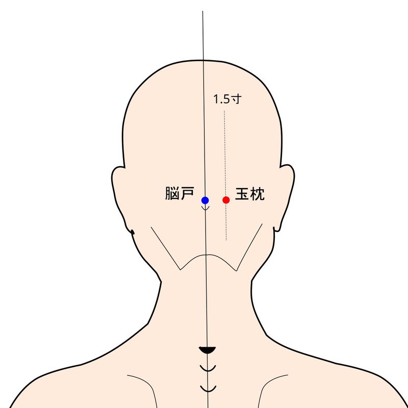 玉枕穴のイラスト