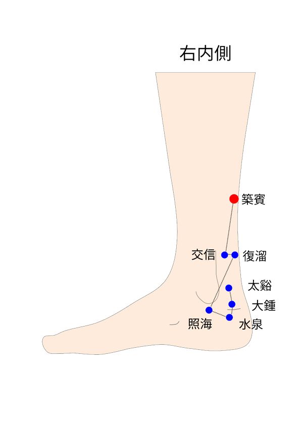 腎経の築賓穴