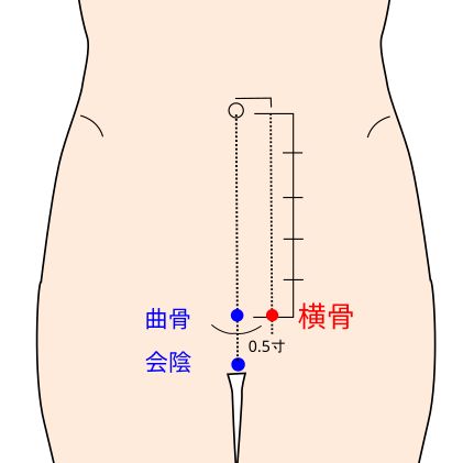 足少陰腎経の横骨穴