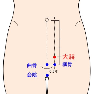 足少陰腎経の大赫穴