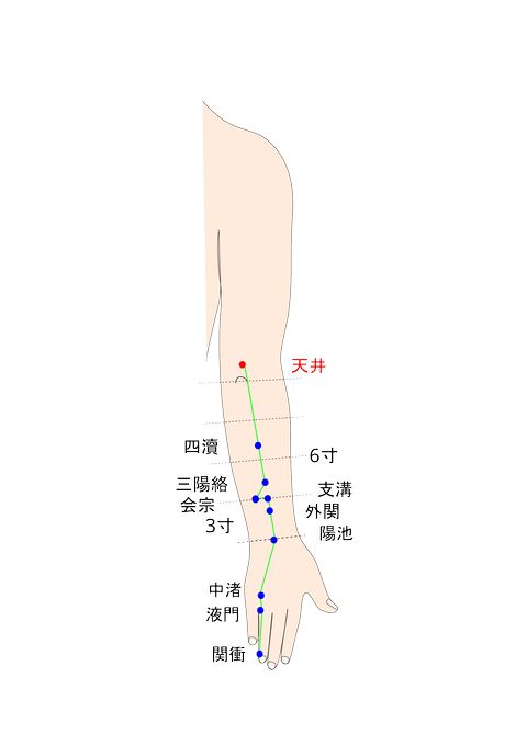 天井（てんせい）のイラスト