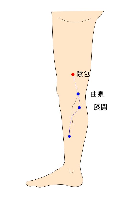 陰包（いんぽう）