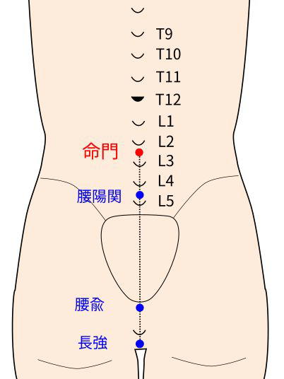 命門穴