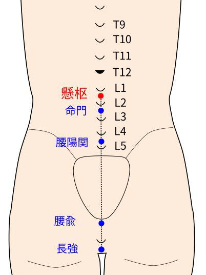 懸枢穴