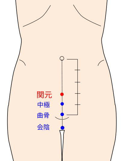 関元穴