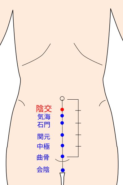 陰交（いんこう）