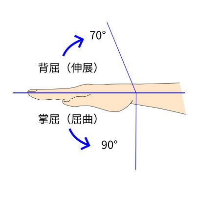 手関節の掌屈・背屈