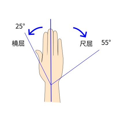 手関節の橈屈・尺屈