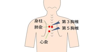 肩こりツボ心兪